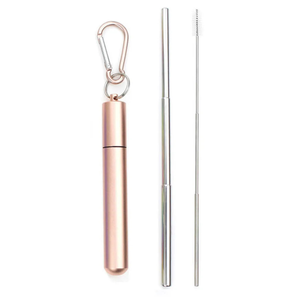 Drinking Straw Reusable Telescopic Straw with Cleaning Brush Carry Case Stainless Steel Straw Set For Water Coffe Milk Milkshake